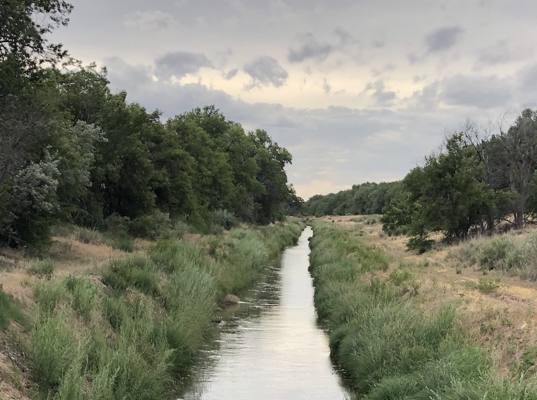 South Valley Bosque open space